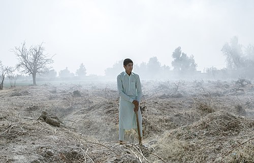 tehran water