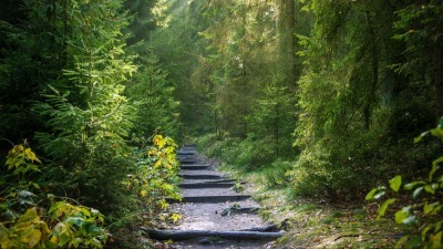 Ancient path