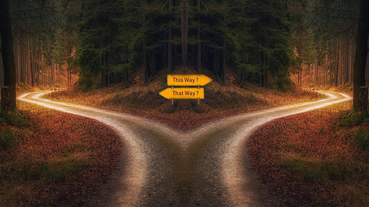 which way - micha pixabay