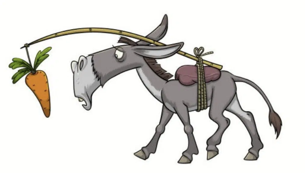 carrot and stick