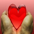An Attitude of Gratitude